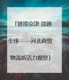 链接京津 货通全球——河北商贸物流新活力观察