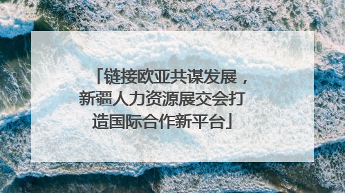 链接欧亚共谋发展，新疆人力资源展交会打造国际合作新平台