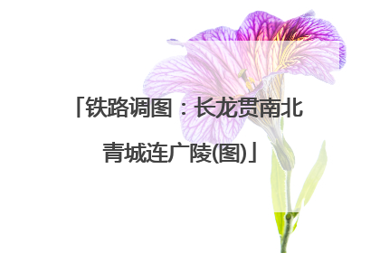 铁路调图：长龙贯南北 青城连广陵(图)