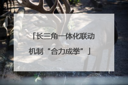 长三角一体化联动机制“合力成拳”