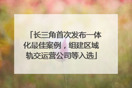 长三角首次发布一体化最佳案例，组建区域轨交运营公司等入选