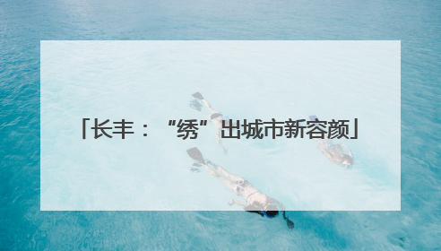 长丰：“绣”出城市新容颜