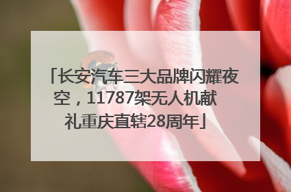 长安汽车三大品牌闪耀夜空，11787架无人机献礼重庆直辖28周年