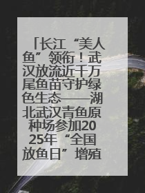 长江“美人鱼”领衔！武汉放流近千万尾鱼苗守护绿色生态——湖北武汉青鱼原种场参加2025年“全国放鱼日”增殖放流活动