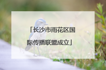 长沙市雨花区国际传播联盟成立
