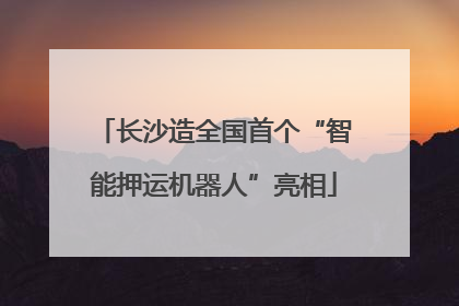 长沙造全国首个“智能押运机器人”亮相