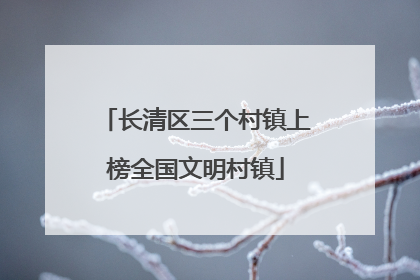 长清区三个村镇上榜全国文明村镇