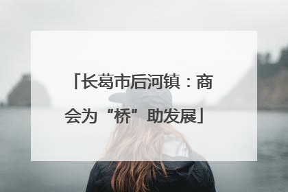 长葛市后河镇：商会为“桥”助发展