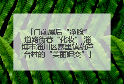 门前屋后“净脸” 道路街巷“化妆” 淄博市淄川区寨里镇葫芦台村的“美丽嬗变”