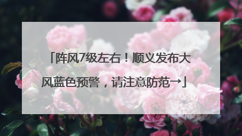阵风7级左右！顺义发布大风蓝色预警，请注意防范→
