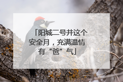 阳城二号井这个安全月，充满温情有“爸”气
