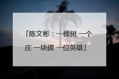 陈文彬：一棵树 一个庄 一块碑 一位英雄