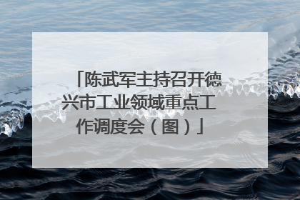 陈武军主持召开德兴市工业领域重点工作调度会（图）