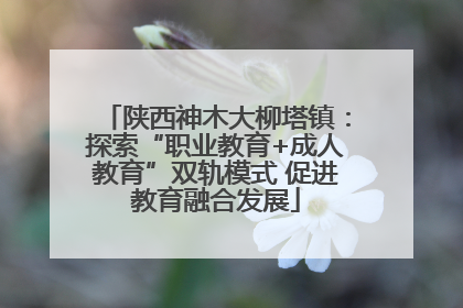 陕西神木大柳塔镇：探索“职业教育+成人教育”双轨模式 促进教育融合发展