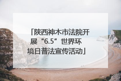 陕西神木市法院开展“6.5”世界环境日普法宣传活动