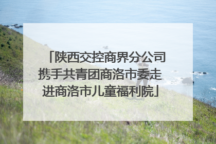 陕西交控商界分公司携手共青团商洛市委走进商洛市儿童福利院