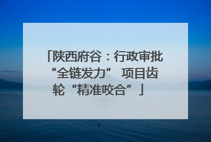 陕西府谷：行政审批“全链发力” 项目齿轮“精准咬合”