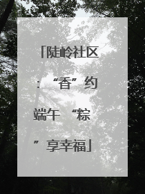 陡岭社区：“香”约端午 “粽”享幸福