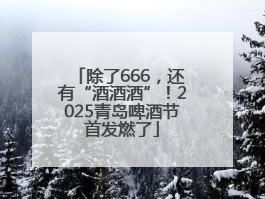 除了666，还有“酒酒酒”！2025青岛啤酒节首发燃了