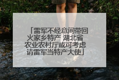 雷军不经意间带回火家乡特产 湖北省农业农村厅或可考虑请雷军当特产大使