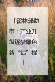 霍林郭勒市：产业升级逐梦绿色新“铝”程
