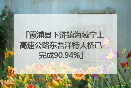 霞浦县下浒镇海域宁上高速公路东吾洋特大桥已完成90.94%