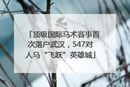顶级国际马术赛事首次落户武汉，547对人马“飞跃”英雄城