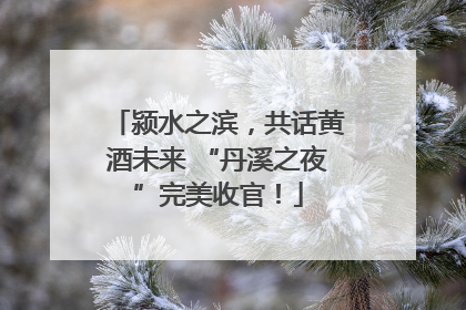 颍水之滨，共话黄酒未来 “丹溪之夜”完美收官！