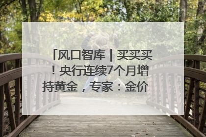 风口智库｜买买买！央行连续7个月增持黄金，专家：金价或仍易涨难跌