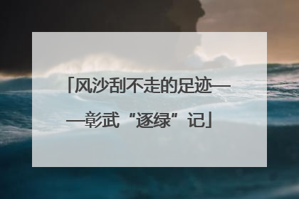 风沙刮不走的足迹——彰武“逐绿”记