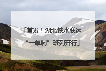 首发！湖北铁水联运“一单制”班列开行