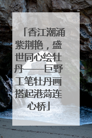 香江潮涌紫荆艳，盛世同心绘牡丹——巨野工笔牡丹画搭起港菏连心桥