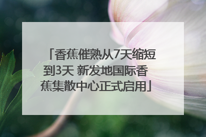 香蕉催熟从7天缩短到3天 新发地国际香蕉集散中心正式启用