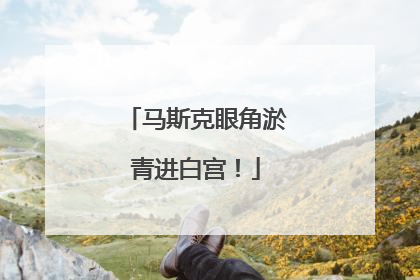 马斯克眼角淤青进白宫！