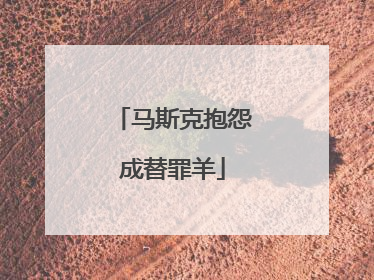 马斯克抱怨成替罪羊