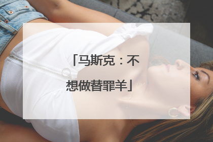 马斯克：不想做替罪羊