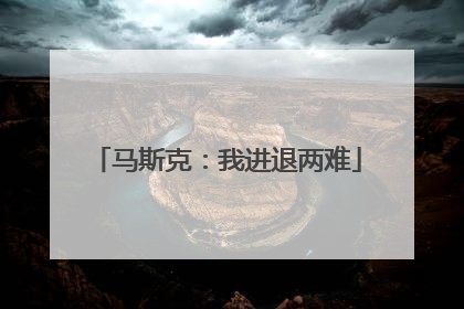 马斯克：我进退两难