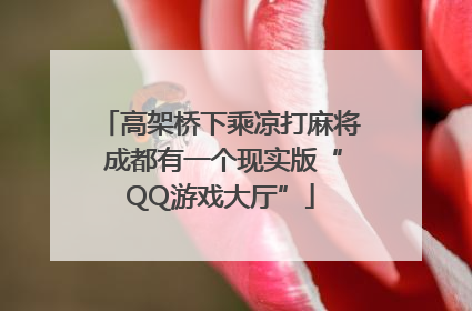 高架桥下乘凉打麻将 成都有一个现实版“QQ游戏大厅”