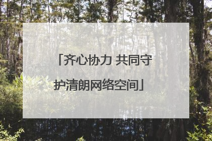 齐心协力 共同守护清朗网络空间