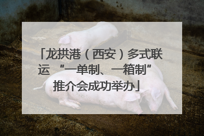 龙拱港（西安）多式联运 “一单制、一箱制” 推介会成功举办