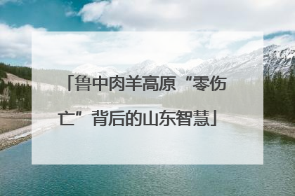 鲁中肉羊高原“零伤亡”背后的山东智慧