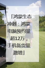 鸿蒙生态冲刺：鸿蒙电脑预约量超12万，手机备货量激增