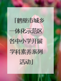 鹤壁市城乡一体化示范区各中小学开展学科素养系列活动
