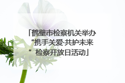 鹤壁市检察机关举办“携手关爱·共护未来”检察开放日活动