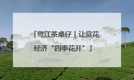 鹭江茶桌仔｜让赏花经济“四季花开”