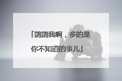 鹮鹮我啊，多的是你不知道的事儿