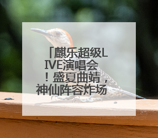 麒乐超级LIVE演唱会！盛夏曲靖，神仙阵容炸场来袭！