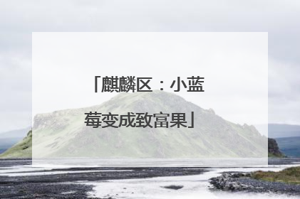 麒麟区：小蓝莓变成致富果
