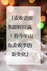 麦收进度条即将拉满！看今年山东麦收季的新变化
