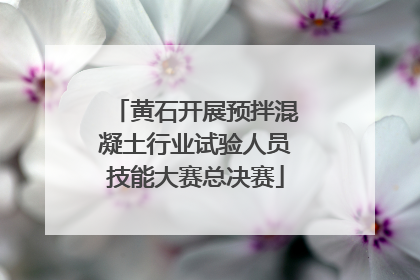 黄石开展预拌混凝土行业试验人员技能大赛总决赛